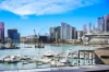 504/915 Collins Street, Docklands, Vic 3008