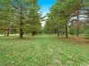 506/53 Mort Street, Braddon, ACT 2612-Image