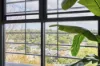 507/35A Upward Street, Leichhardt, NSW 2040-Image