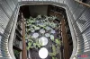 508/25 Edinburgh Avenue, Acton, ACT 2601-Image