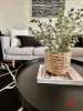 508/36 Tenth Avenue, Maylands, WA 6051-Image