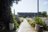 517/380 Harris Street, Pyrmont, NSW 2009-Image