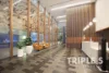 5209/117 Bathurst Street, Sydney, NSW 2000-Image