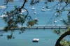 53/36 Fairfax Road, Bellevue Hill NSW 2023-Image