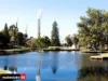 53/43 Wickham Street, East Perth, WA 6004-Image