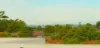 54 Woids Avenue, Allawah, NSW 2218-Image