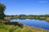 5C/343 Anzac Parade, Kingsford, NSW 2032-Image