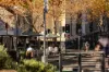 5D/4 Distillery Drive, Pyrmont, NSW 2009-Image