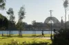 5D/4 Distillery Drive, Pyrmont, NSW 2009-Image