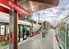 6/10A Kynaston Avenue, Randwick, NSW 2031-Image