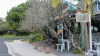 6/13-15 The Crescent, Angourie, NSW 2464-Image