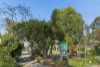 6/131 Harold Street, Thornbury, Vic 3071-Image