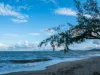 6/137 Williams Esplanade, Palm Cove, Qld 4879-Image