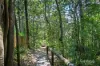 6/15-17 Attunga Heights, Noosa Heads, Qld 4567-Image