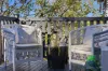 6/15 Roche Avenue, Bowen Hills, Qld 4006-Image