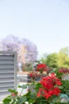 6/162-170 Parramatta Road, Homebush, NSW 2140-Image