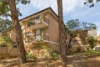 6/169-175 Hampden Road, Wareemba, NSW 2046-Image