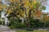 6/183 Kooyong Road, Toorak, Vic 3142-Image
