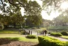 6/19-21 Larkin Street, Camperdown, NSW 2050-Image