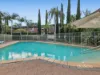 6/247D Burwood Road, Concord, NSW 2137-Image