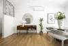 6/26 Anglesea Street, Bondi, NSW 2026-Image