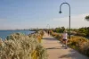6/46 Ormond Esplanade, Elwood, Vic 3184-Image