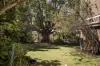 6/54 Sydney Street, New Farm, Qld 4005-Image