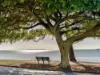 6/65 Waterloo Esplanade, Wynnum, Qld 4178-Image