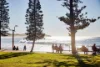6/79 Howard Avenue, Dee Why, NSW 2099-Image