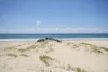6/85-91 Townson Avenue, Palm Beach, Qld 4221-Image
