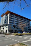 60/43 Constitution Ave, Reid, ACT 2612-Image