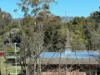 60/43 Constitution Ave, Reid, ACT 2612-Image