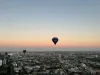 6003/500 Elizabeth Street, Melbourne, Vic 3000-Image