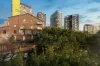 601/24 Refinery Drive, Pyrmont, NSW 2009-Image
