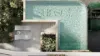 601/5-7 Bombala Terrace, Caloundra, Qld 4551-Image