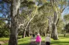 602/193 Angas Street, Adelaide, SA 5000-Image