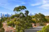 602/8 Murrell Street, Ashfield NSW 2131-Image
