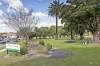 602/8 Murrell Street, Ashfield NSW 2131-Image