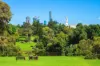 604/5 Wilson Street, South Yarra, Vic 3141-Image