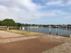 606/170 Ross Street, Forest Lodge, NSW 2037-Image