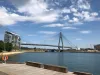 606/170 Ross Street, Forest Lodge, NSW 2037-Image
