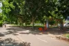 607B/12 Nancarrow Avenue, Ryde, NSW 2112-Image