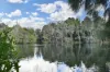 609/130A Mounts Bay Road, Perth, WA 6000-Image