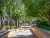 615/2 Limburg Way, Greenway, ACT 2900-Image