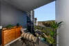 63/11 Irving Street, Phillip, ACT 2606-Image