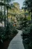 6305/21 Tung Hop Street, Waterloo, NSW 2017-Image