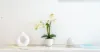 6309/7 Anchorage Court, Darwin City, NT 0800-Image