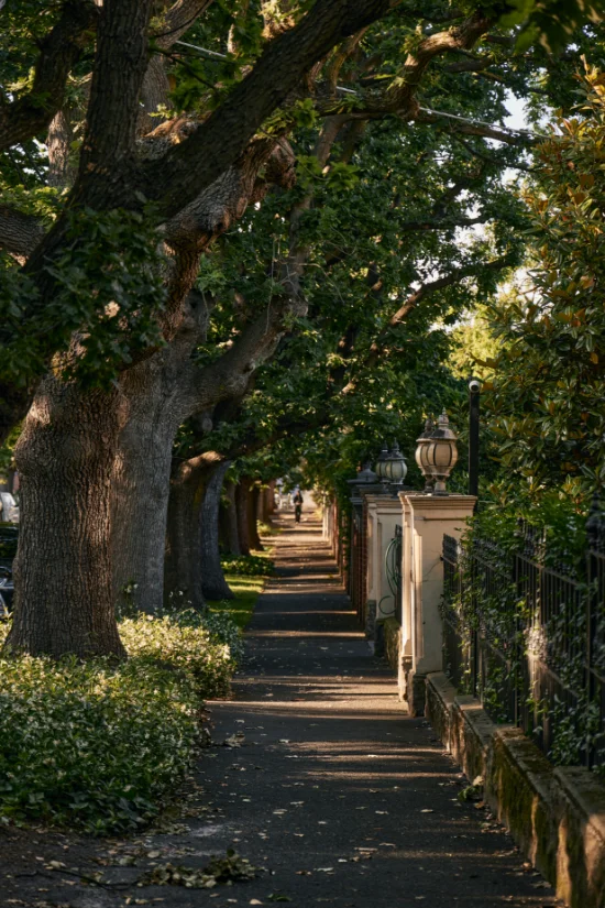 646 High Street, Prahran, Vic 3181-Image