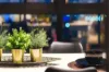 65 Dudley Street, West Melbourne, Vic 3003-Image