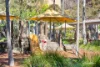66 Bowman St, Pyrmont, NSW 2009-Image